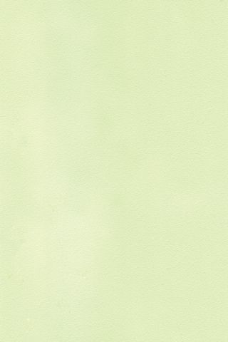 Декоративная стеновая панель Мультиплит Светло-зеленый Pantone 7485
